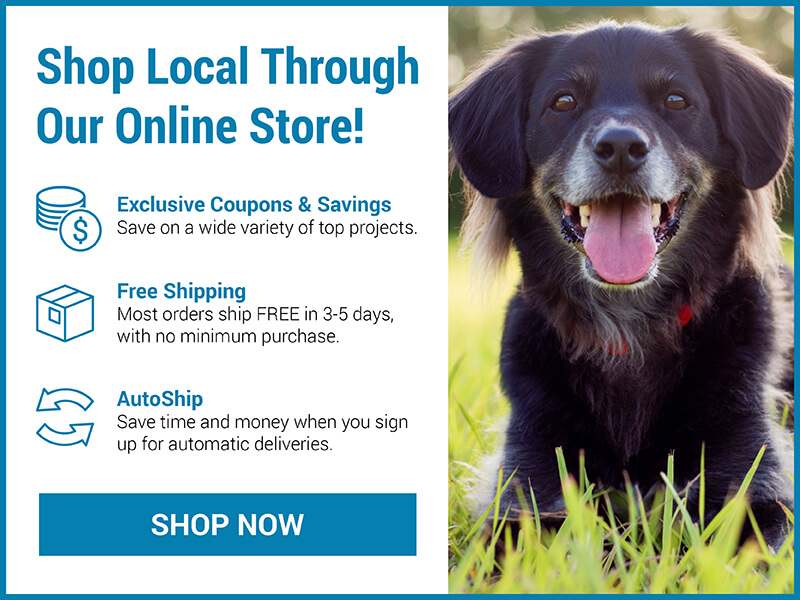 Make a Veterinary Appointment Online Imlay City Veterinary Clinic